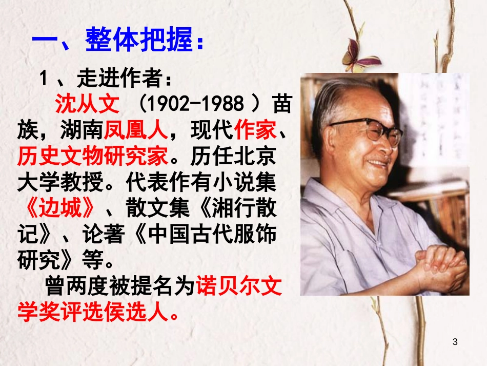 八年级语文下册 16《云南的歌会》课件 新人教版[共27页]_第3页