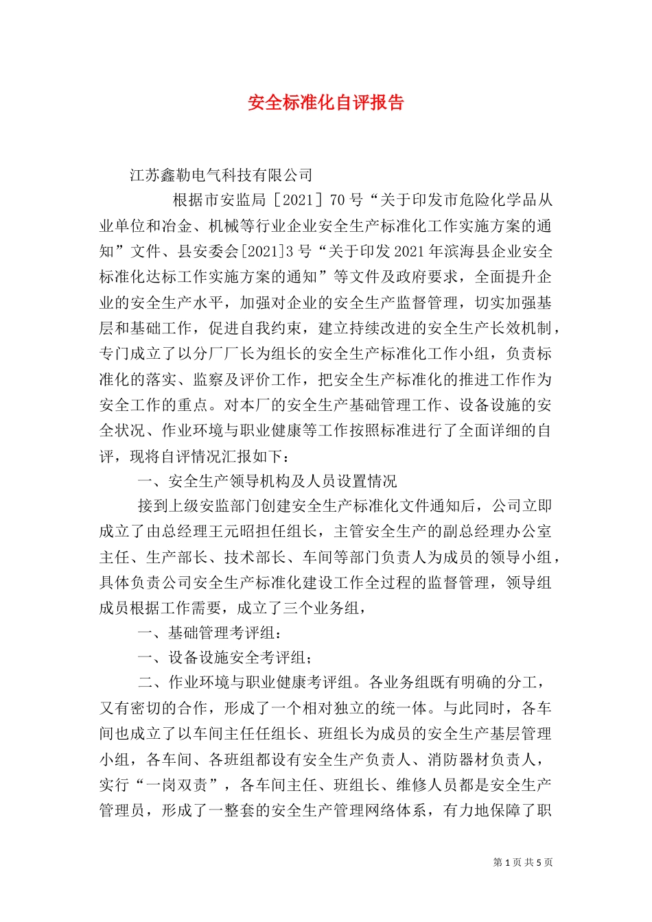 安全标准化自评报告_第1页