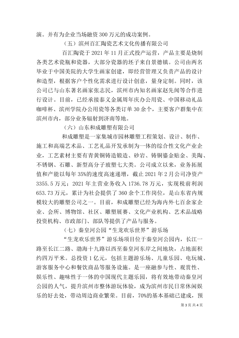 邮政信息产业座谈会汇报材料5_第3页