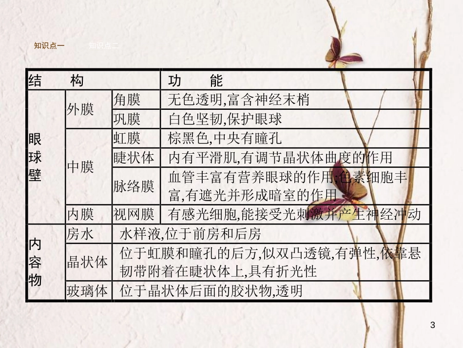 七年级生物下册 3.5.4人体对周围世界的感知课件 （新版）济南版_第3页