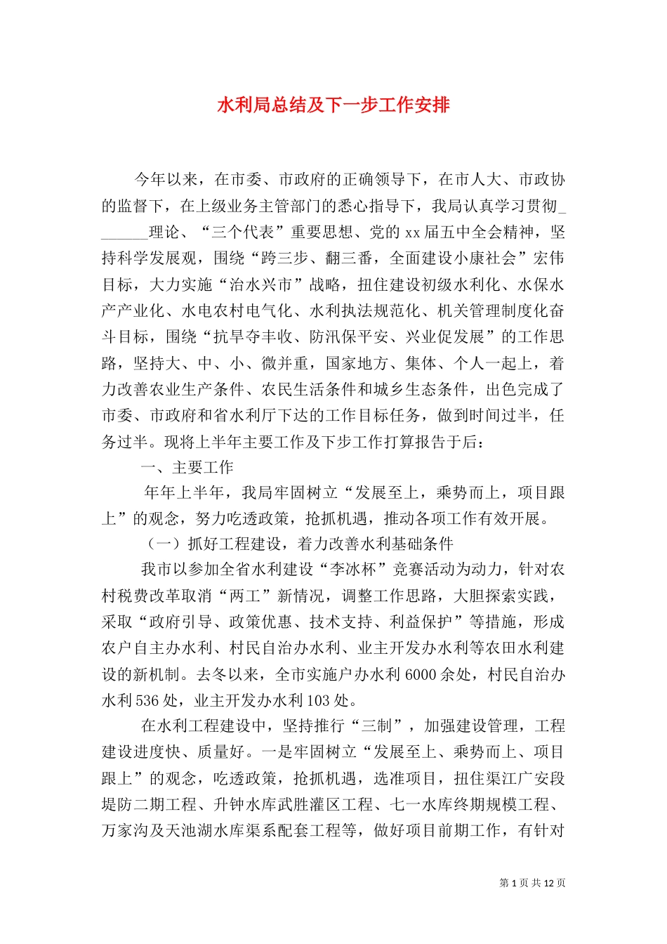 水利局总结及下一步工作安排_第1页