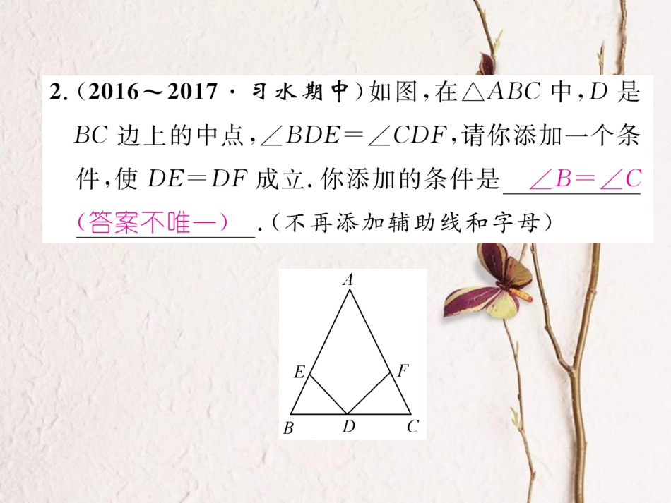 八年级数学上册 12 全等三角形重难点分类突破课件 （新版）新人教版[共24页]_第3页