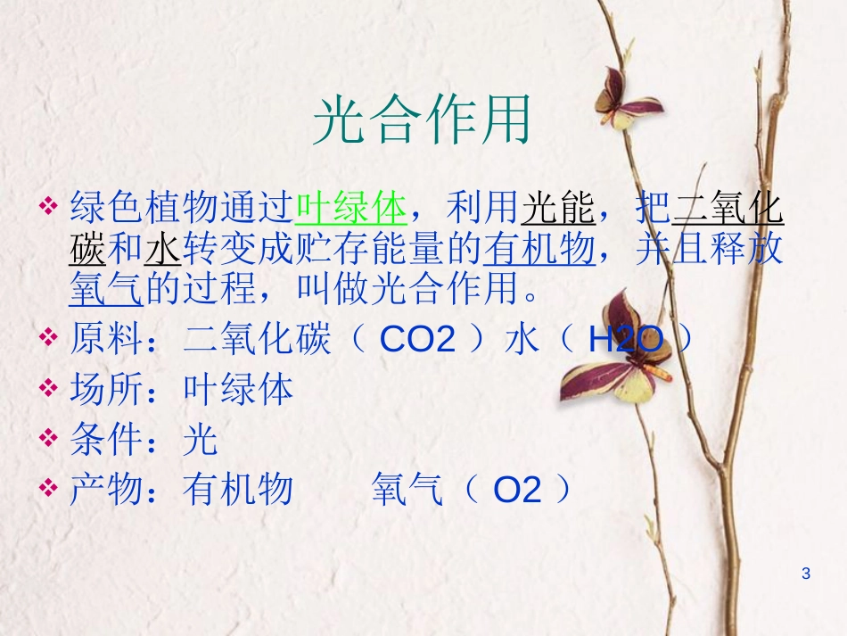 七年级生物上册 第三单元 第六章 第一节 植物光合作用的发现课件（1）（新版）苏教版[共17页]_第3页