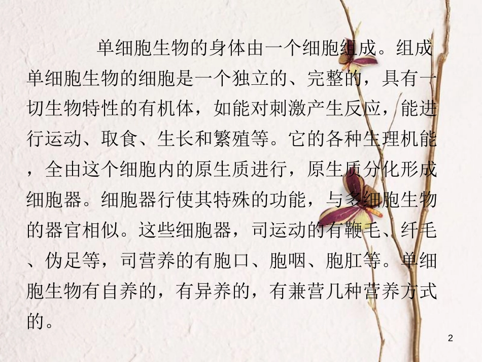 七年级生物上册 第三单元 第四章 第三节 单细胞生物的生命活动特点课件 （新版）苏教版[共3页]_第2页