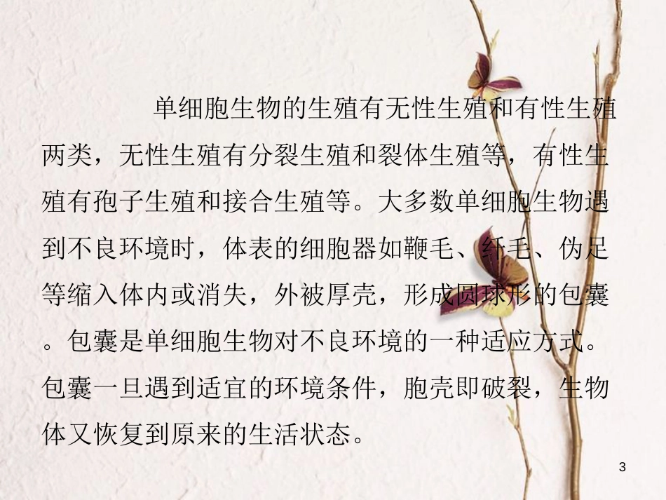 七年级生物上册 第三单元 第四章 第三节 单细胞生物的生命活动特点课件 （新版）苏教版[共3页]_第3页