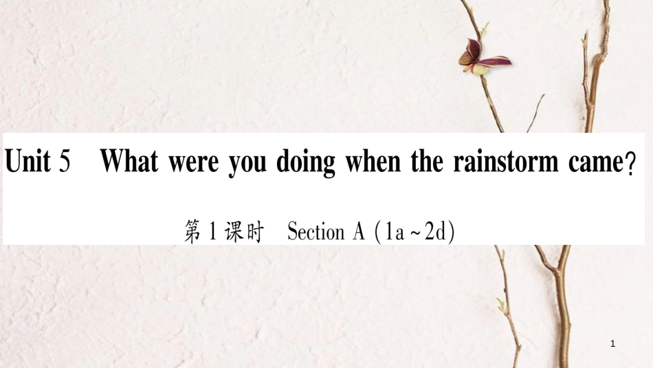 八年级英语下册 Unit 5 What were you doing when the rainstorm came课件 （新版）人教新目标版_第1页