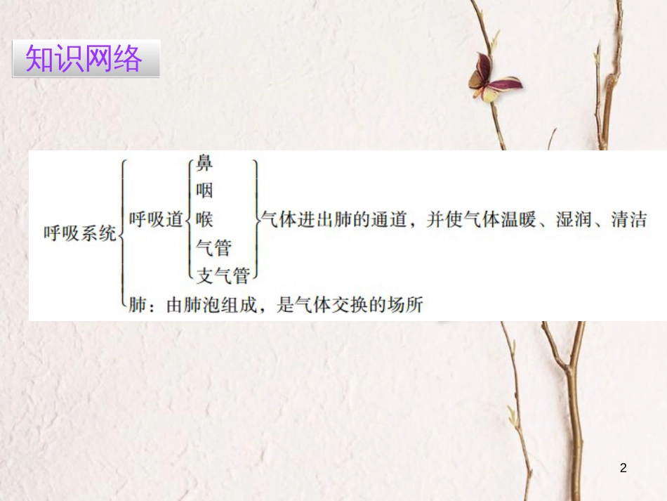 广东省七年级生物下册 第3章 第一节 呼吸道对空气的处理导练课件 （新版）新人教版_第2页