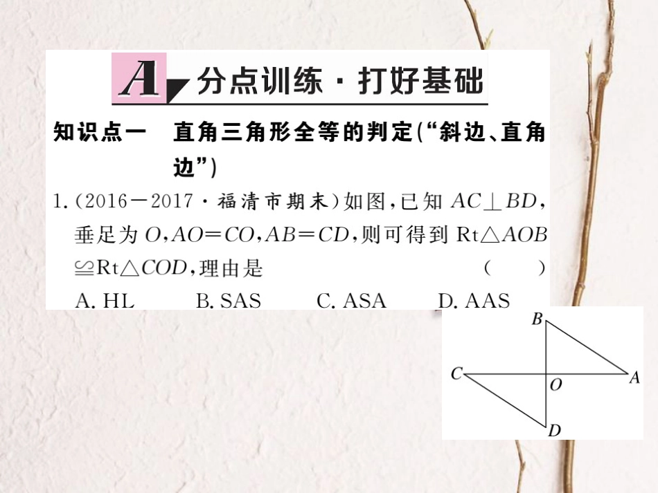 八年级数学上册 12.2 第4课时“斜边、直角边”习题课件 （新版）新人教版_第2页