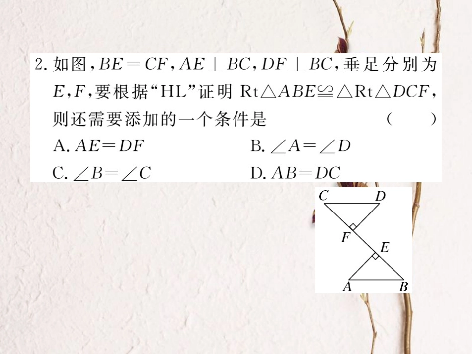 八年级数学上册 12.2 第4课时“斜边、直角边”习题课件 （新版）新人教版_第3页