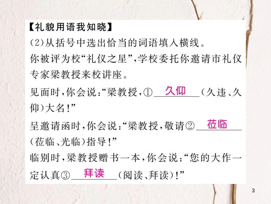 八年级语文下册 专题四 综合性学习习题课件 新人教版_第3页