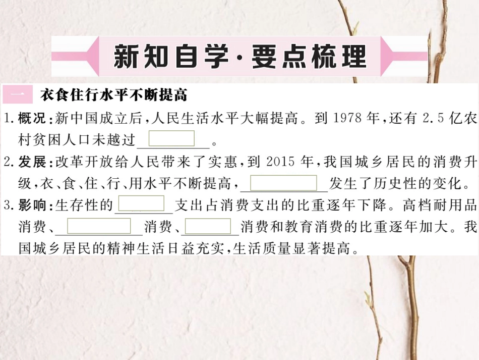 八年级历史下册 第三单元 社会主义现代化建设的新时期 第11课 城乡人民生存状态的沧桑巨变习题课件 川教版_第2页