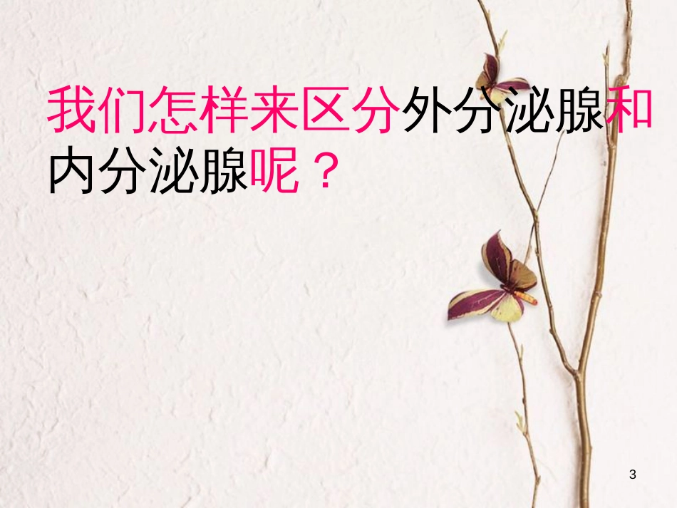 七年级生物下册 第四单元 第四章 第四节《激素调节》课件 （新版）新人教版_第3页