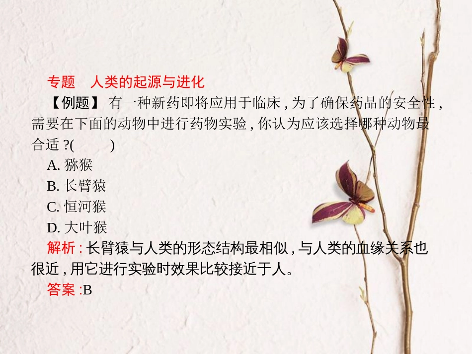 八年级生物下册 专题整合提升 人类的起源和进化课件 （新版）济南版_第2页