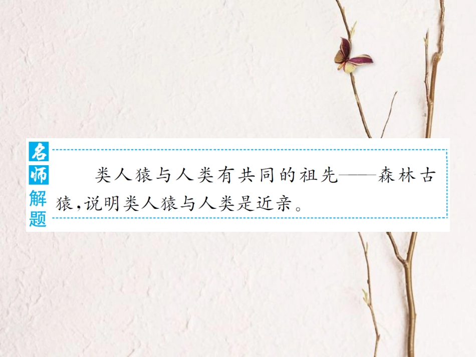 八年级生物下册 专题整合提升 人类的起源和进化课件 （新版）济南版_第3页
