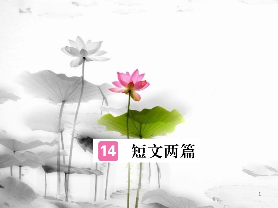 安徽省九年级语文上册 第四单元 15 短文两篇习题讲评课件 新人教版[共16页]_第1页