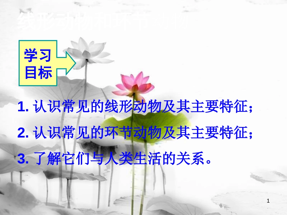 八年级生物上册 5.1.2 线形动物和环节动物课件1 （新版）新人教版[共8页]_第1页