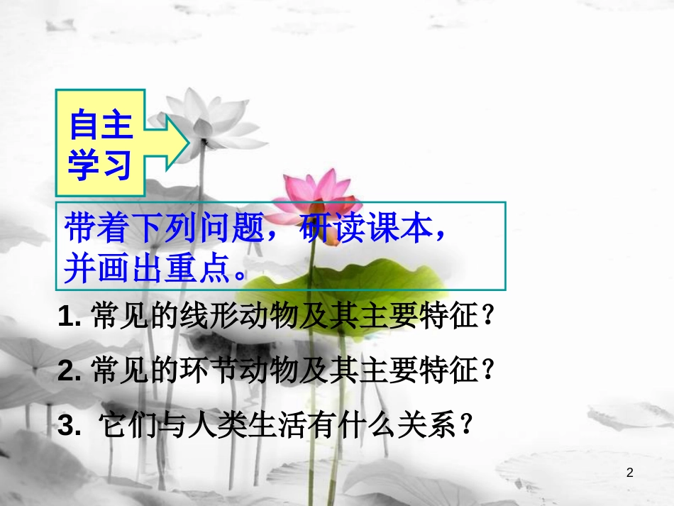八年级生物上册 5.1.2 线形动物和环节动物课件1 （新版）新人教版[共8页]_第2页