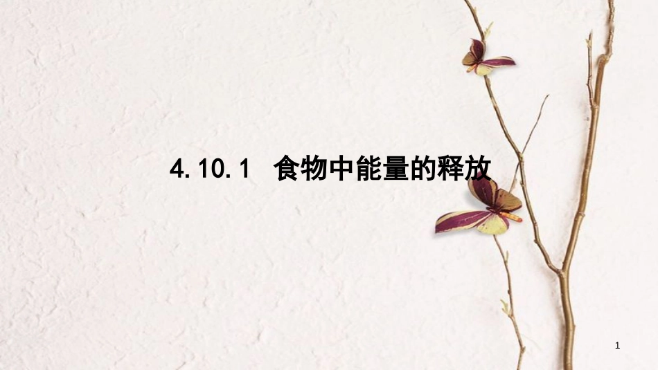 七年级生物下册 4.10.1 食物中能量的释放课件 （新版）北师大版[共11页]_第1页