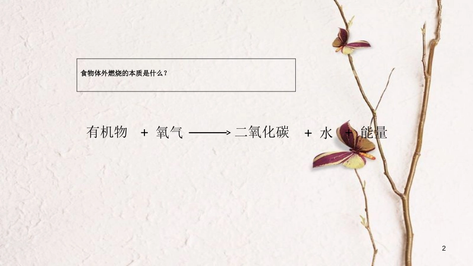 七年级生物下册 4.10.1 食物中能量的释放课件 （新版）北师大版[共11页]_第2页