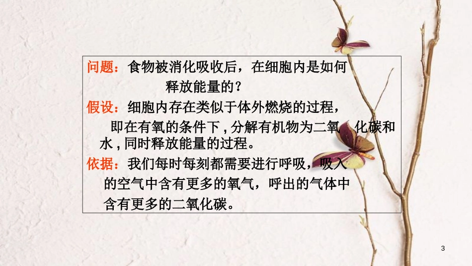 七年级生物下册 4.10.1 食物中能量的释放课件 （新版）北师大版[共11页]_第3页
