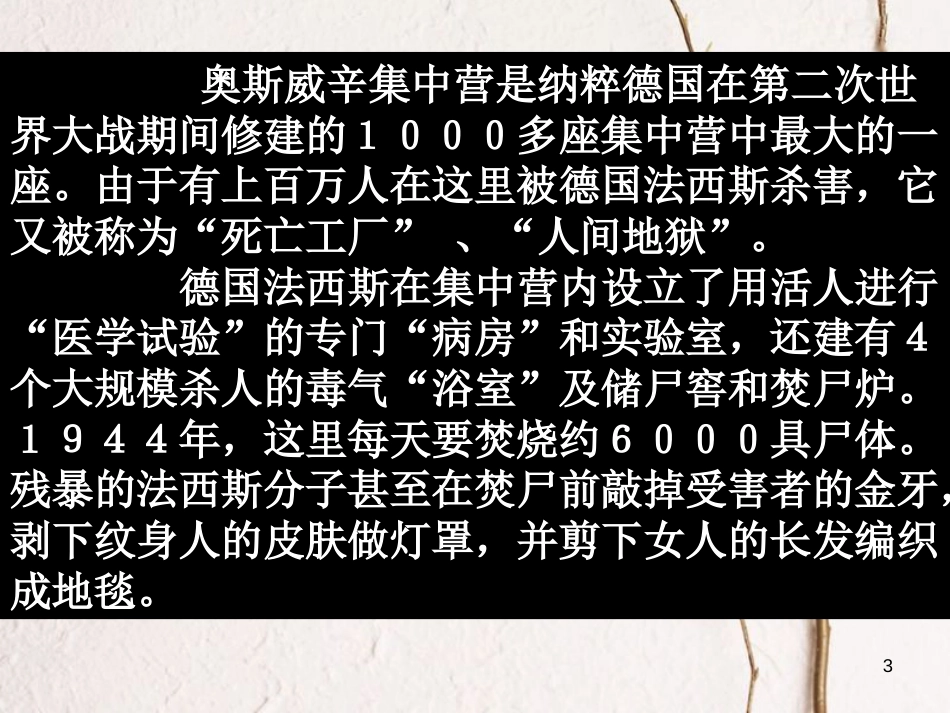 九年级历史下册 第二单元 第5课 法西斯势力的猖獗课件 新人教版[共57页]_第3页