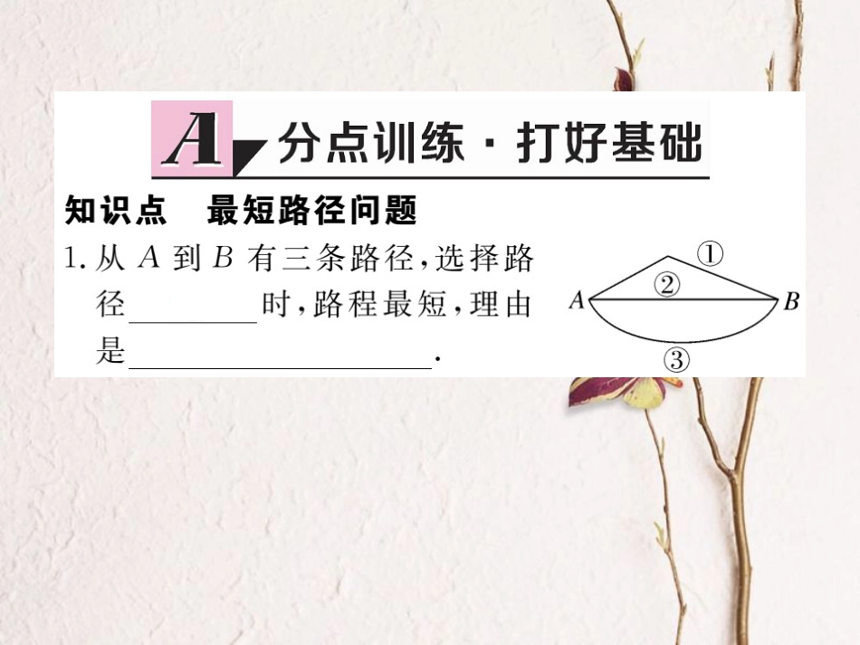 八年级数学上册 13.4 课题学习 最短路径问题习题课件 （新版）新人教版_第2页