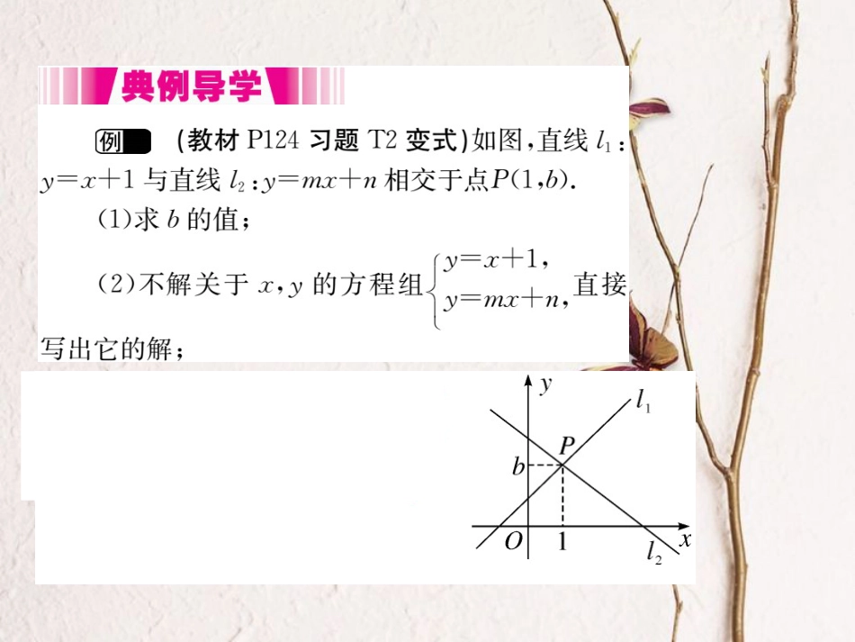 八年级数学上册 5.6 二元一次方程与一次函数（小册子）课件 （新版）北师大版_第2页