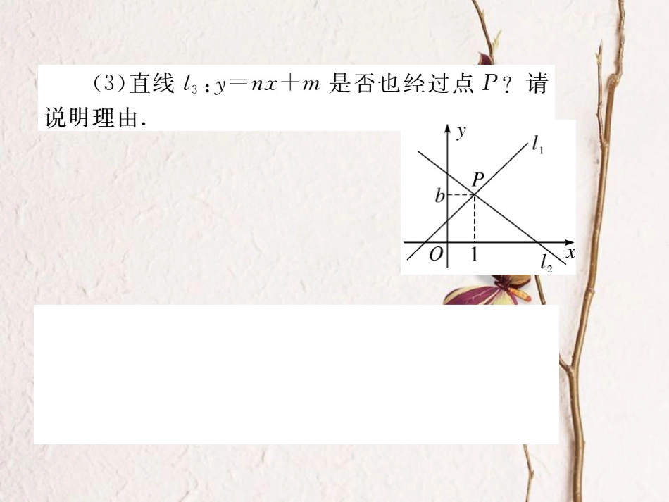 八年级数学上册 5.6 二元一次方程与一次函数（小册子）课件 （新版）北师大版_第3页