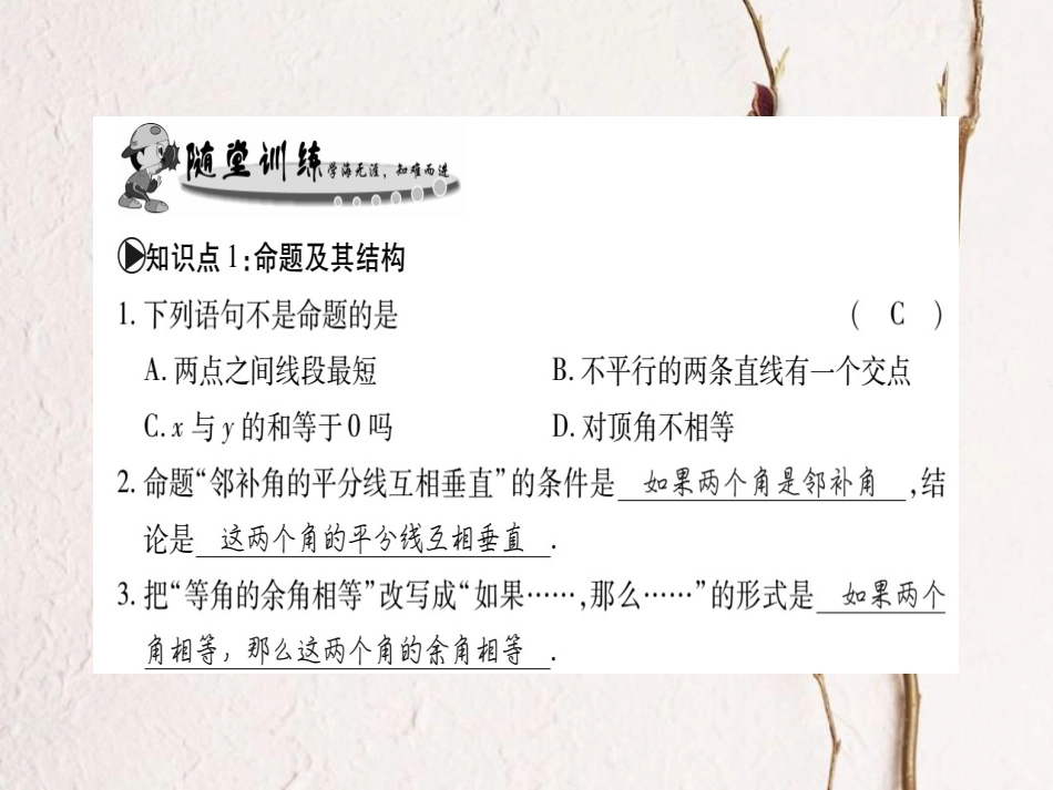 八年级数学上册 13.1 命题、定理与证明习题课件 （新版）华东师大版[共31页]_第3页