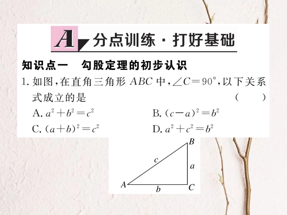 八年级数学上册 1.1 第1课时 认识勾股定理习题课件 （新版）北师大版_第2页