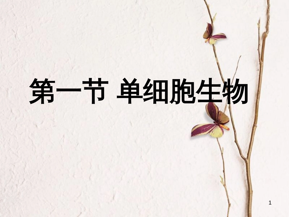 七年级生物上册 第三单元 第四章 第三节 单细胞生物课件（2）（新版）苏教版[共18页]_第1页