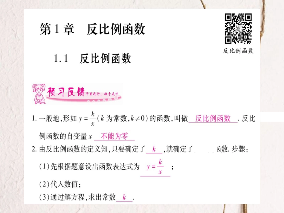 九年级数学上册 1.1 反比例函数习题课件 （新版）湘教版[共15页]_第1页