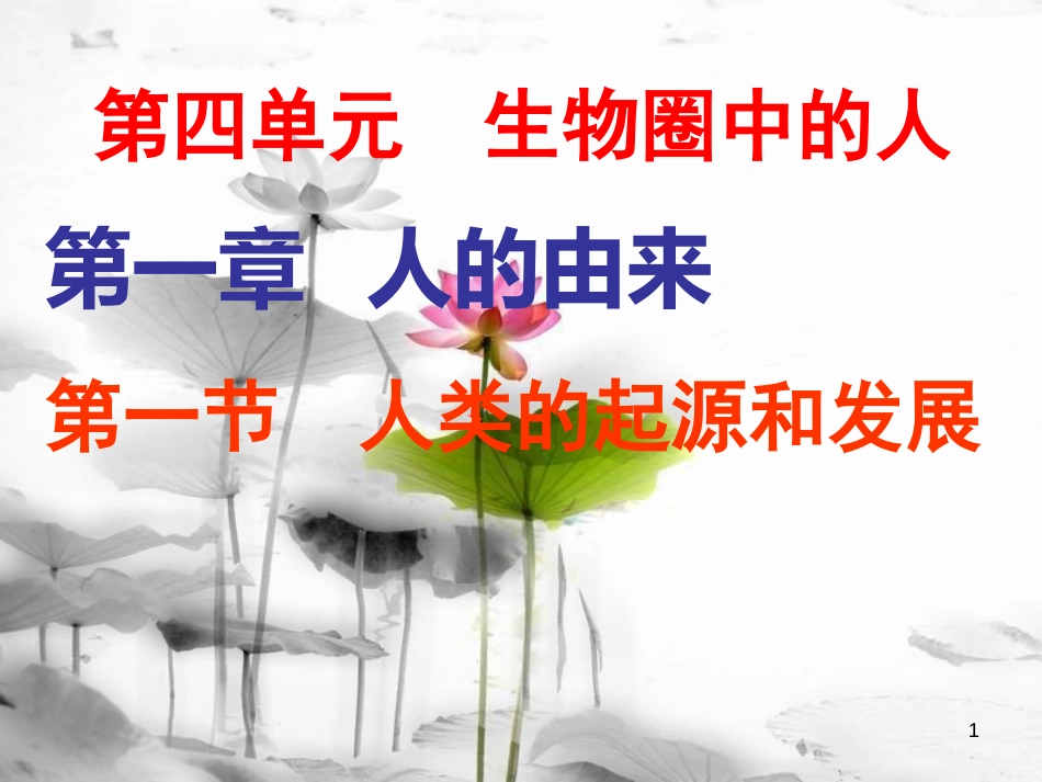 安徽省桐城市嬉子湖中心学校七年级生物下册 4.1.1 人类的起源和发展课件 （新版）新人教版[共22页]_第1页