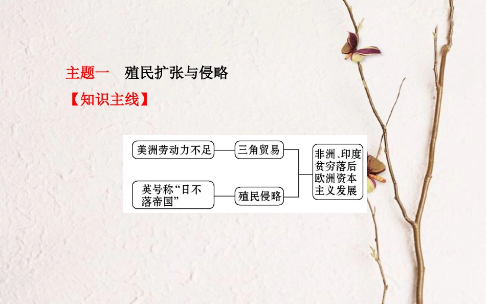 中考历史一轮复习 世近史 第二单元 殖民扩张与殖民地人民的抗争课件[共33页]_第2页