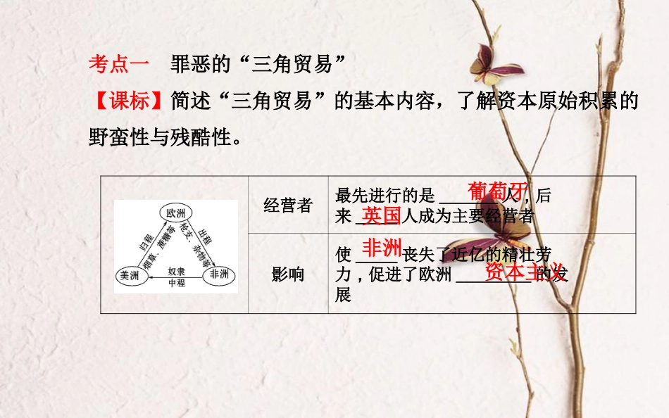 中考历史一轮复习 世近史 第二单元 殖民扩张与殖民地人民的抗争课件[共33页]_第3页
