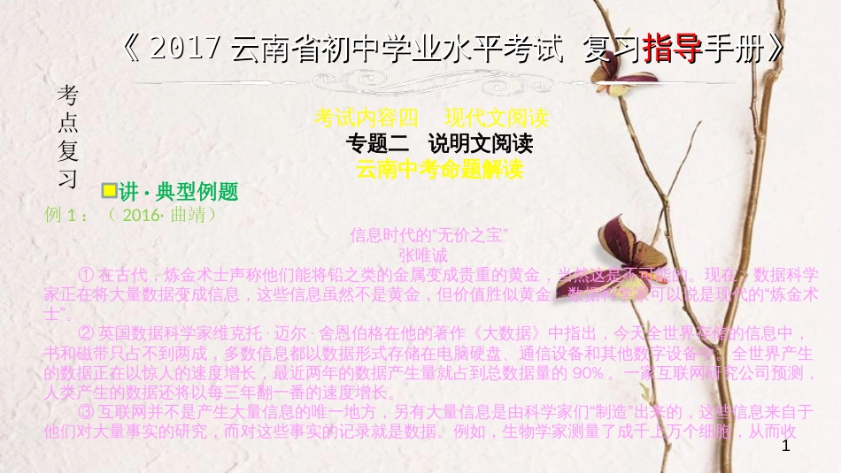云南省中考语文 专题二 说明文阅读复习课件_第1页