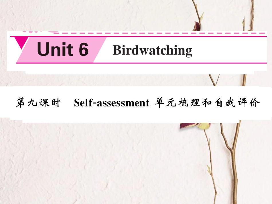 八年级英语上册 Unit 6 Bird watching（第9课时）课件 （新版）牛津版[共15页]_第1页