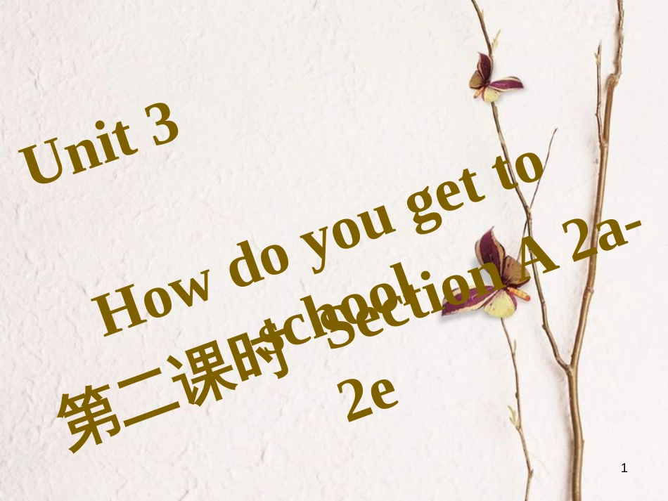 七年级英语下册 Unit 3 How do you get to school（第2课时）Section A（2a-2e）习题课件 （新版）人教新目标版_第1页