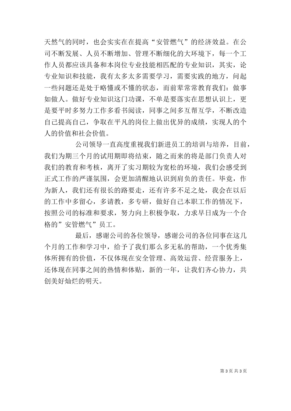 燃气公司实习期个人总结（六）_第3页