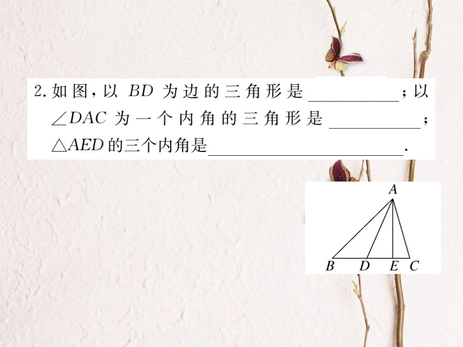 八年级数学上册 11.1.1 三角形的边习题课件 （新版）新人教版_第3页