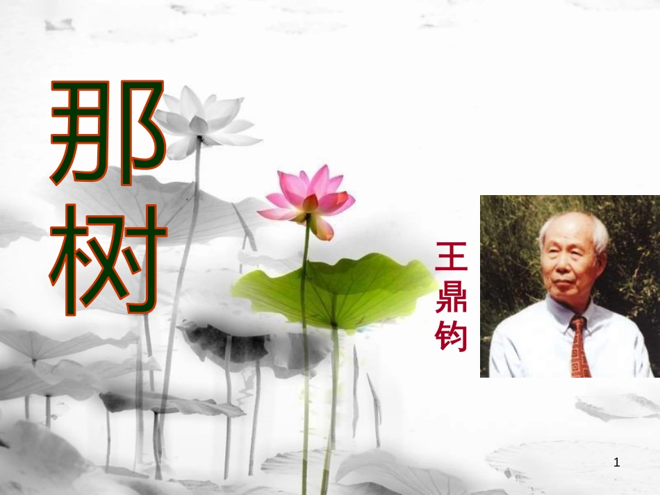 安徽省合肥市育英学校九年级语文下册 第三单元 第10课《那树》课件 新人教版_第1页