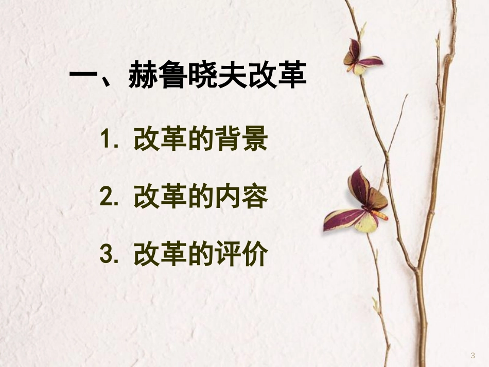 九年级历史下册 第五单元 第12课 苏联和东欧社会主义国家的改革课件1 岳麓版[共25页]_第3页
