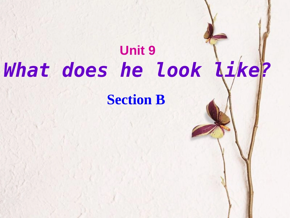 （水滴系列）七年级英语下册 Unit 9 What does he look like（第4课时）Section B（1a-1e）课件 （新）人教新目标_第1页