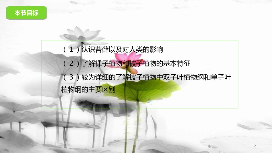 八年级生物下册 13.4 植物课件 北京课改版[共24页]_第2页