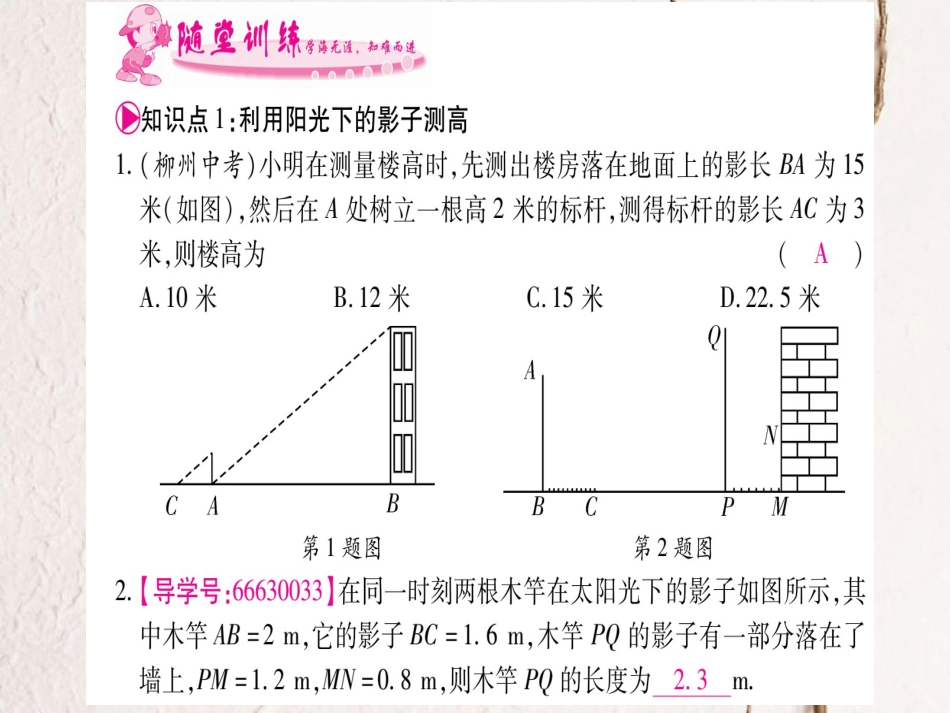 九年级数学上册 4.6 利用相似三角形测高习题课件 （新版）北师大版_第2页