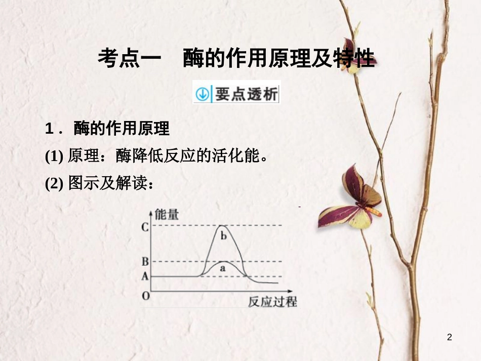 高考生物一轮复习 第3单元 细胞的能量供应和利用 第8讲 酶和ATP课件_第2页