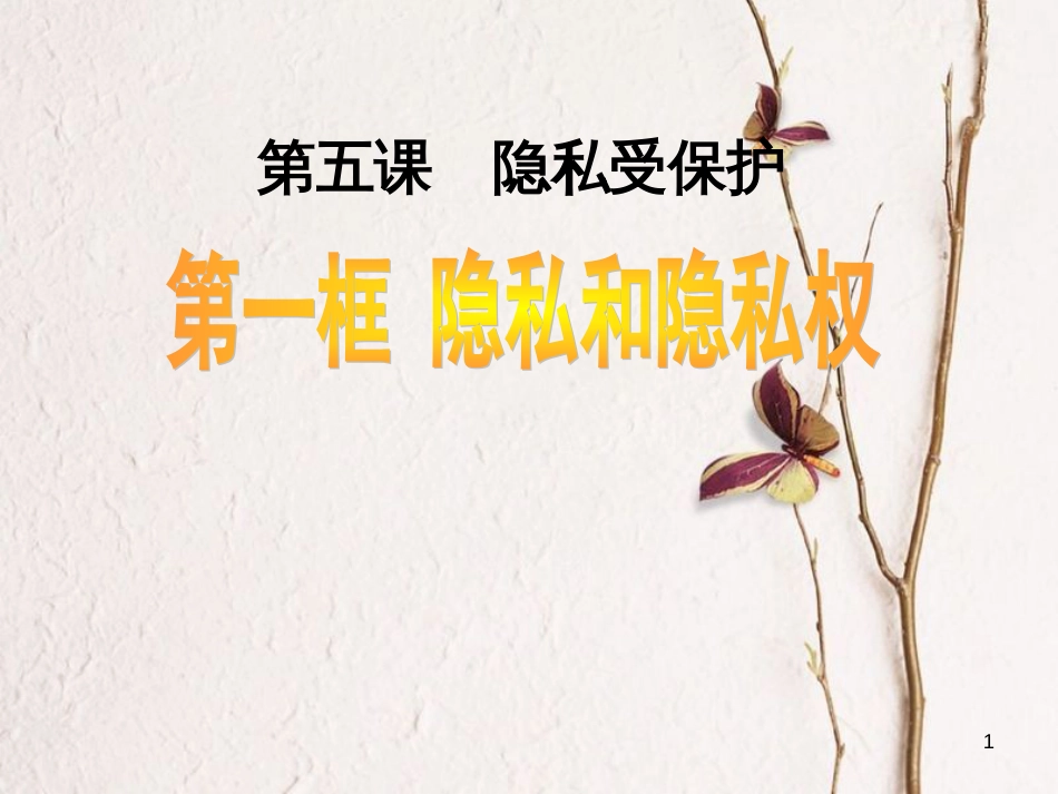 八年级政治下册 第二单元 我们的人身权利 第五课 隐私受保护 第1框 隐私和隐私权课件 新人教版[共29页]_第1页