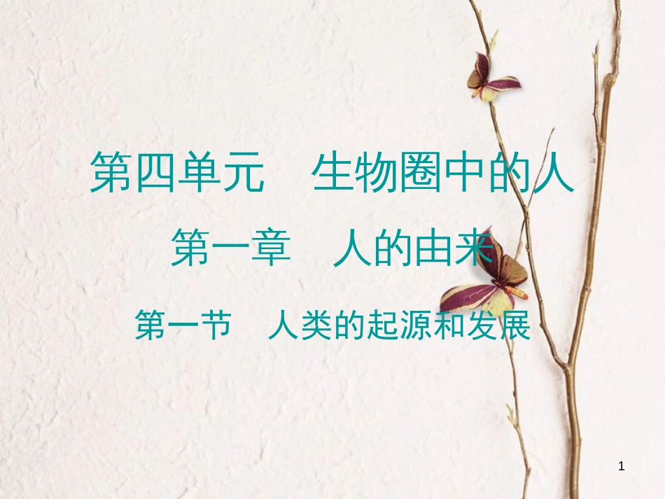 广东省七年级生物下册 第1章 第一节 人类的起源和发展导练课件 （新版）新人教版_第1页