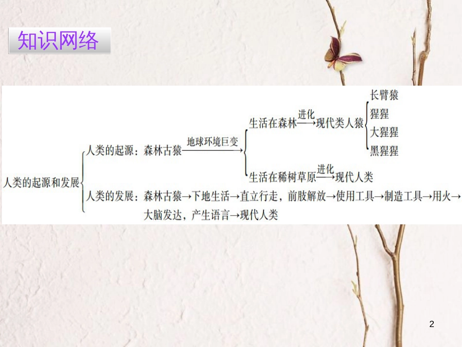 广东省七年级生物下册 第1章 第一节 人类的起源和发展导练课件 （新版）新人教版_第2页