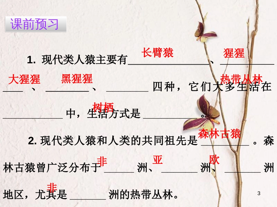 广东省七年级生物下册 第1章 第一节 人类的起源和发展导练课件 （新版）新人教版_第3页